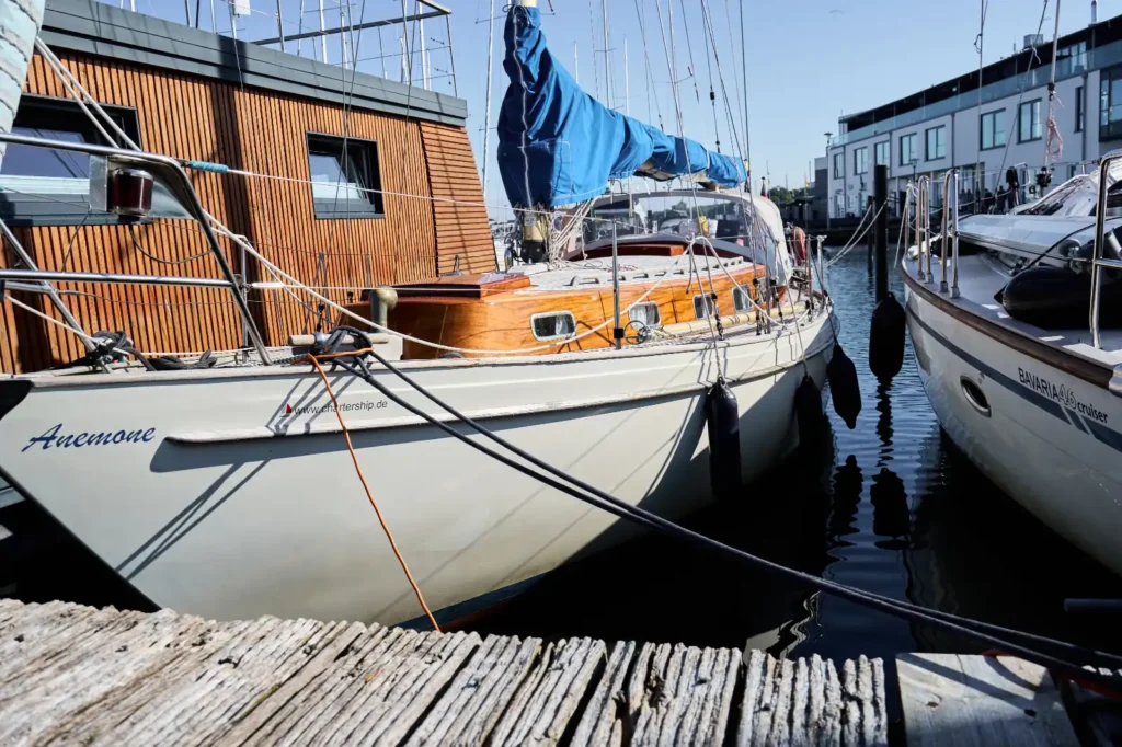 Chartership vindö 50 – anemone (1)