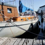 Chartership vindö 50 – anemone (1)